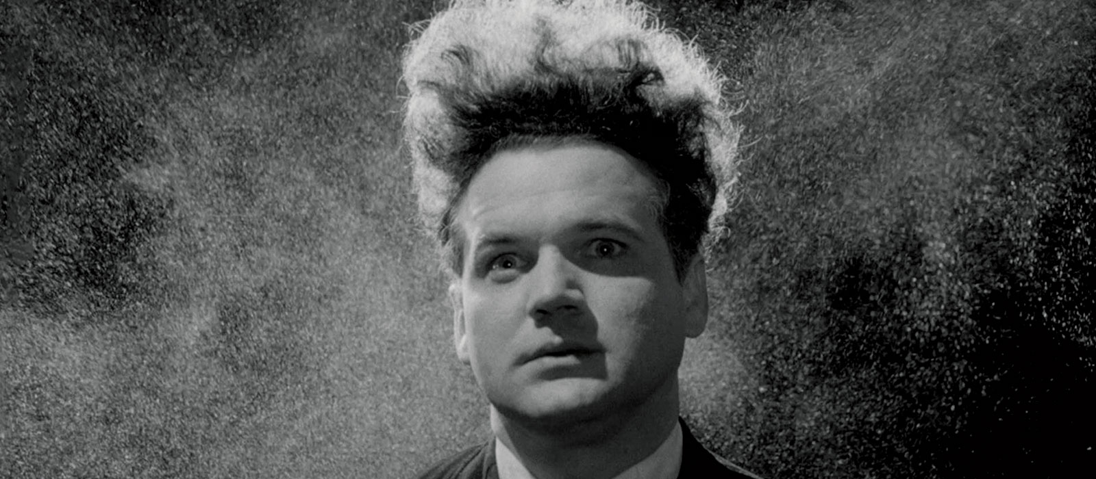 eraserhead_hair