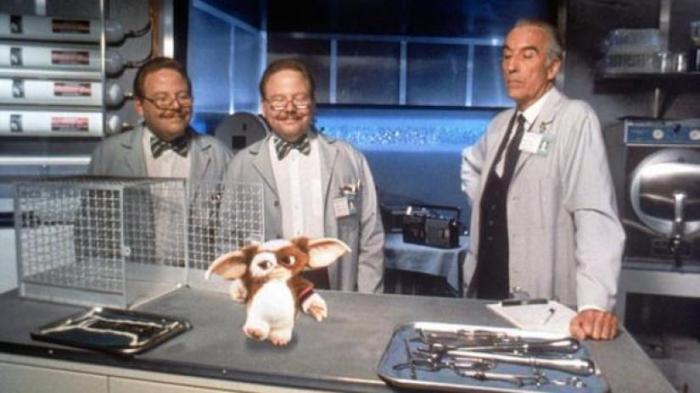 gizmogremlins_2
